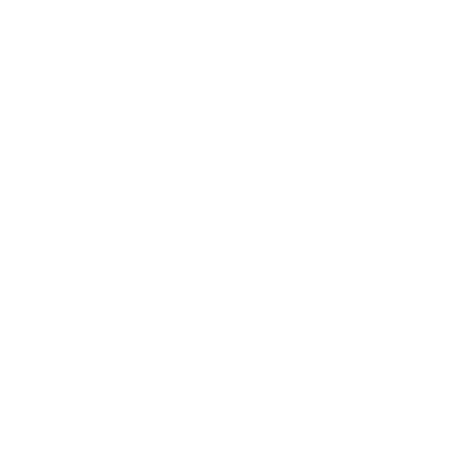 Solid Roofing
